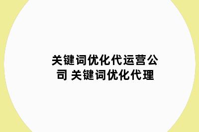关键词优化代运营公司 关键词优化代理